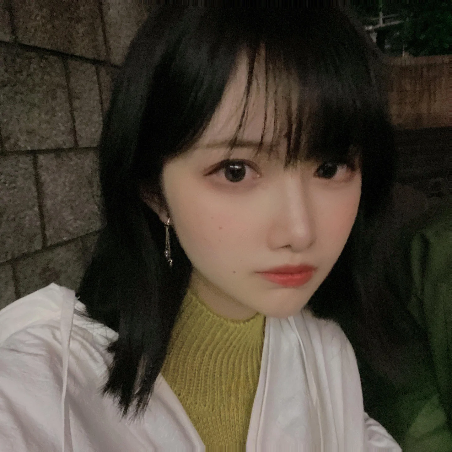 Shika小鹿鹿 - 莎拉自拍集 [30P-98MB] tg@simisebaisi 【丝足阁】029.webp